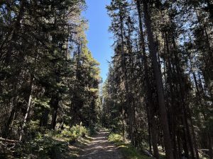 Rockbound Lake Trail