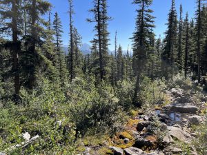 Rockbound Lake Trail