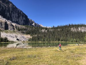 Tower Lake