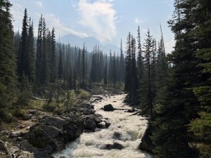 Little Yoho Valley Trail