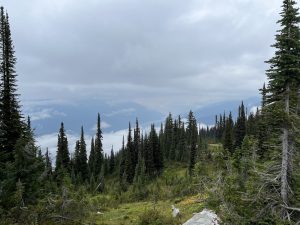 Aussicht vom Mt. Revelstoke