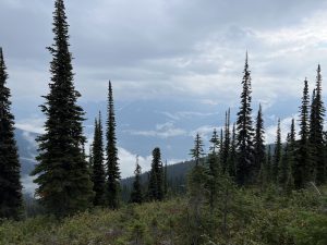 Aussicht vom Mt. Revelstoke