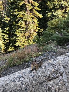 Cascade Lookout