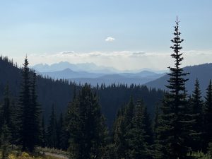 Alpine Meadows